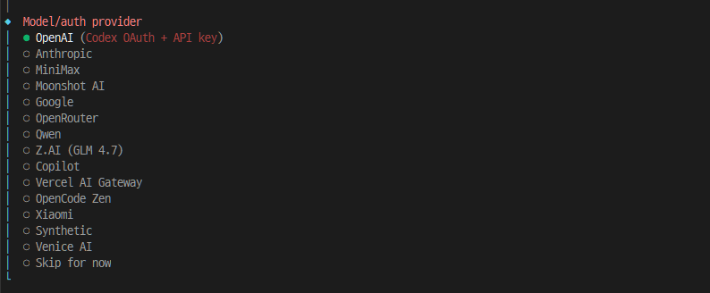 Model/auth provider 선택