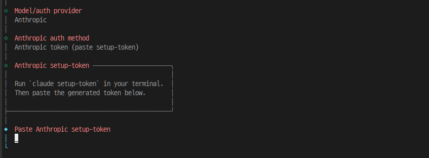 Anthropic setup-token 입력