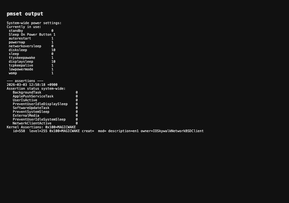 pmset 설정 확인 결과