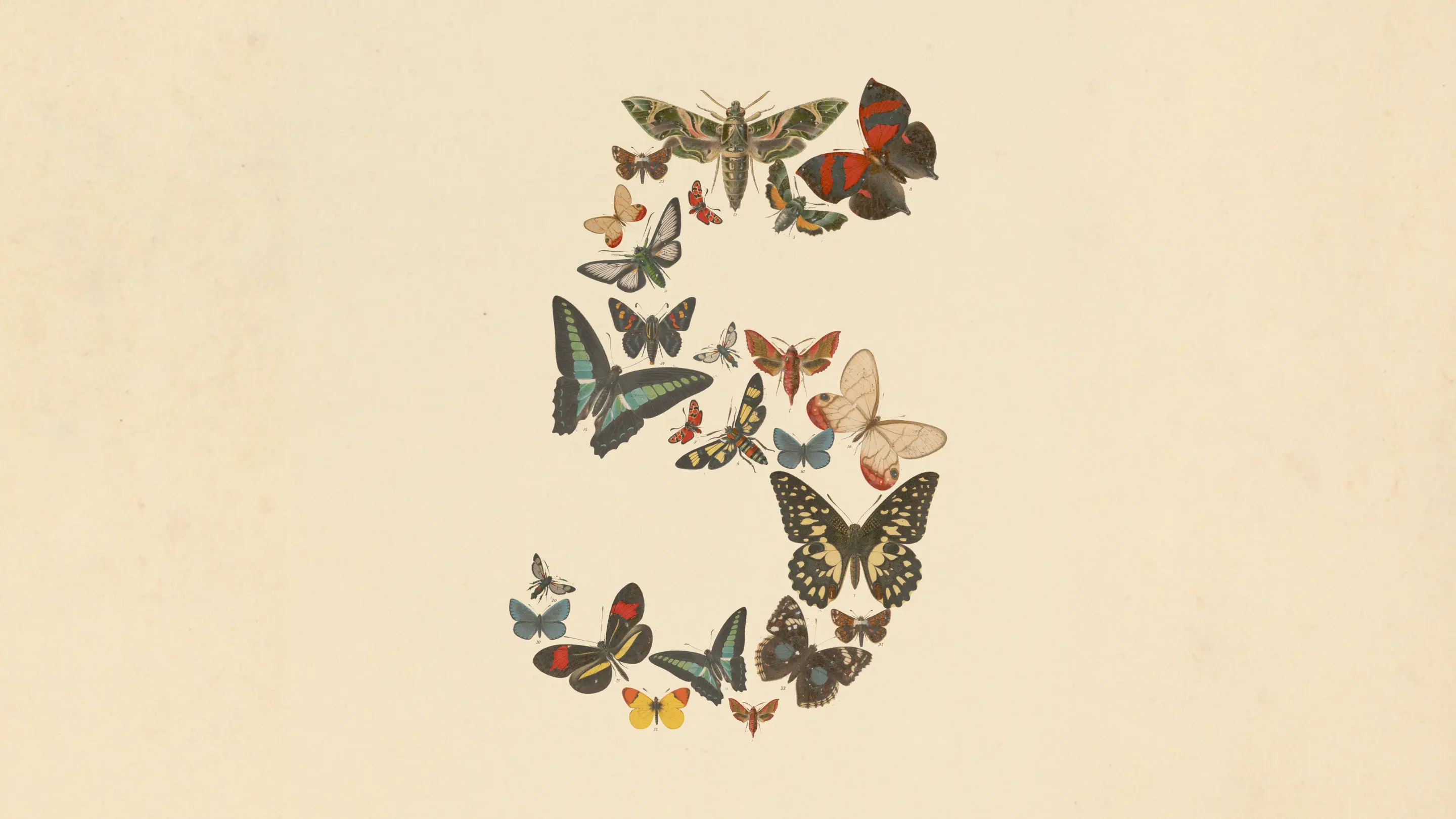 Claude Fable 5 배너